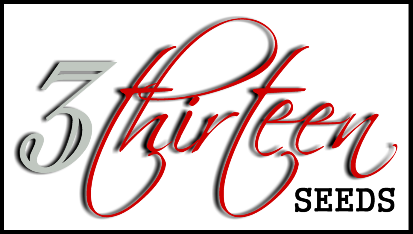 store-logo