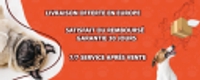 store-logo