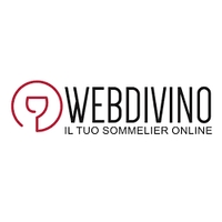 Webdivino IT