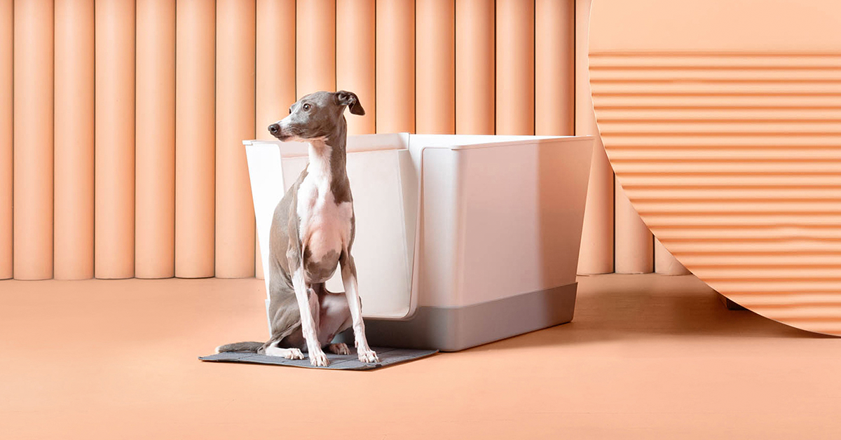 Doggy Bathroom