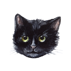 CAT by maniita lacitta