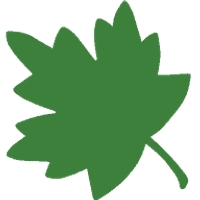store-logo