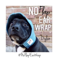 No Flap Ear Wrap