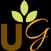 store-logo