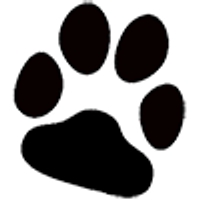 Just Dogs