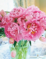 Wholesale Floral