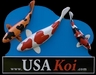 Usa Koi