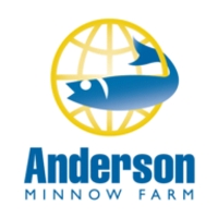 Anderson Minnows