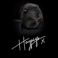 HAYPIGS