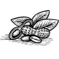 Hardy Farms Peanuts