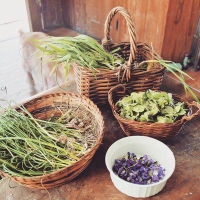 Tweefontein Herb Farm