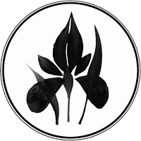 store-logo