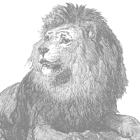 White Lion Tea