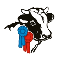 store-logo