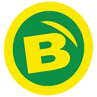 bullion
