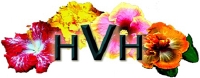 Hidden Valley Hibiscus