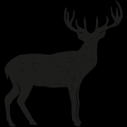 store-logo