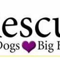 We Love Doodles Shop