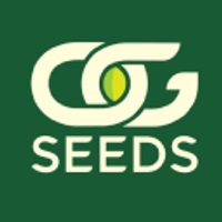 Og Seeds