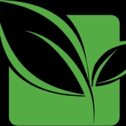 store-logo