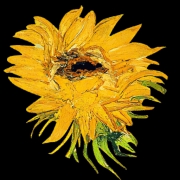 Immersive Van Gogh Orlando