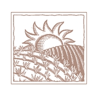 store-logo