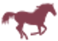 Newmarket Saddlery
