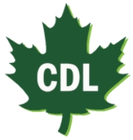 store-logo