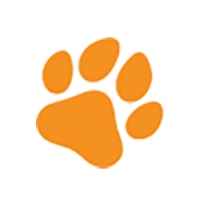 4PAWSRAW