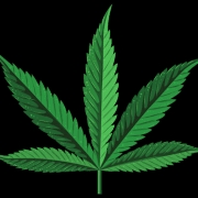 Weed