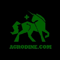 store-logo