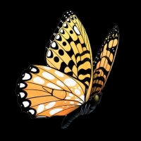 store-logo