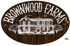 store-logo