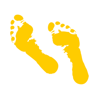 Flooringsupplies