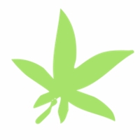 THCA Order
