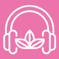 Stress Audio