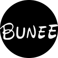 Hair Bunee
