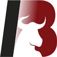 Mr Iron Bull