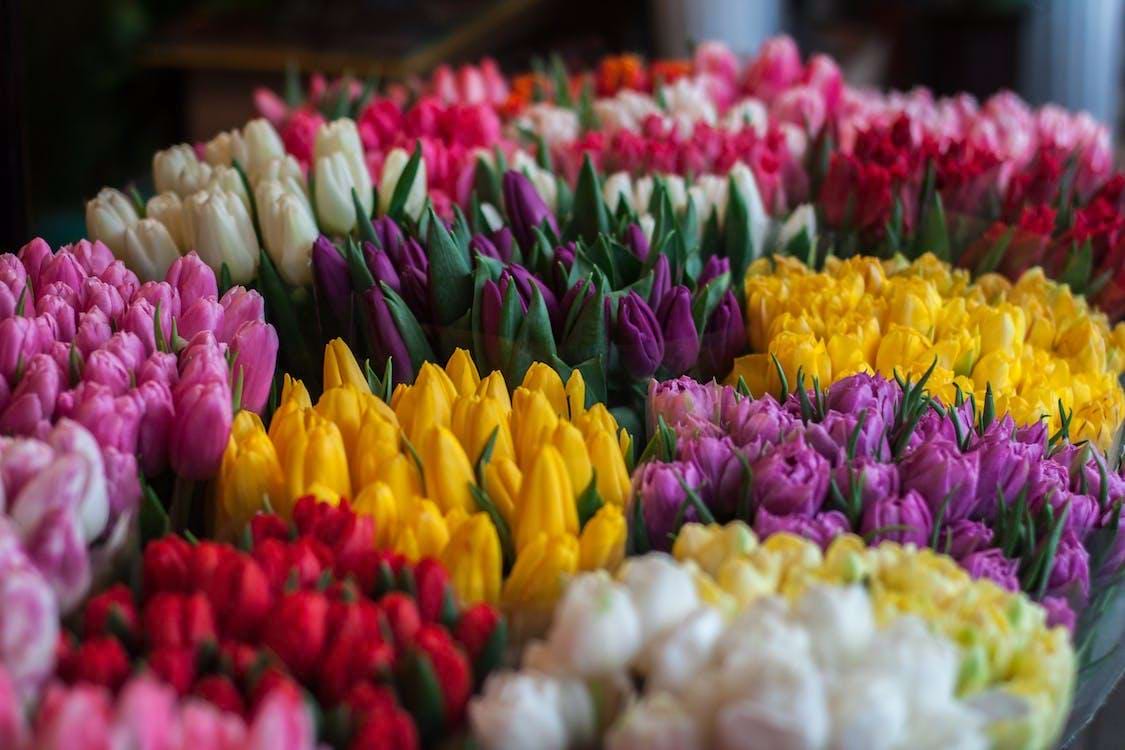 How To Use 1 Stop Florists Discount Code 1