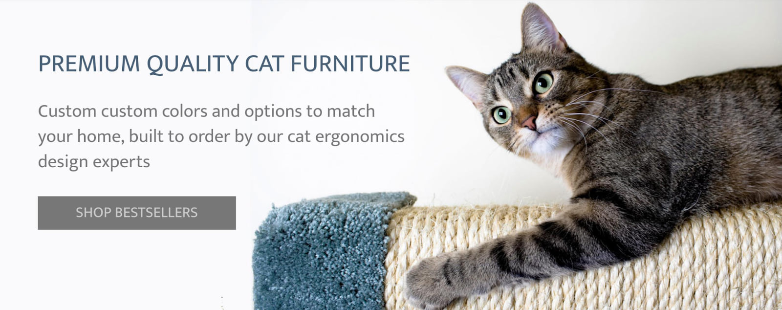 How To Use A Cats Play Coupon Code 1