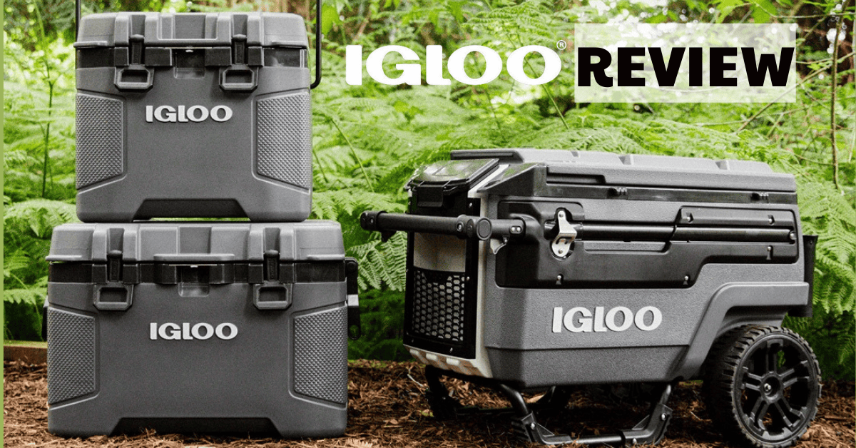 Igloo-Coolers-review