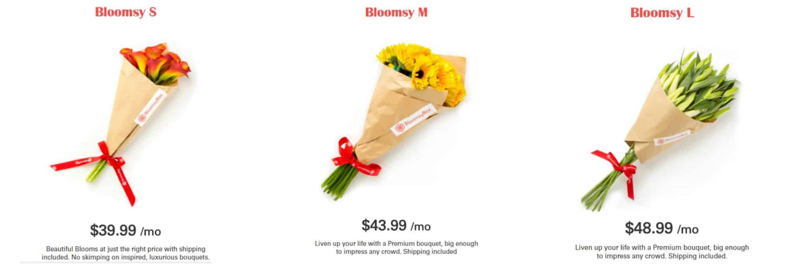 Is Bloomsybox Legit 5