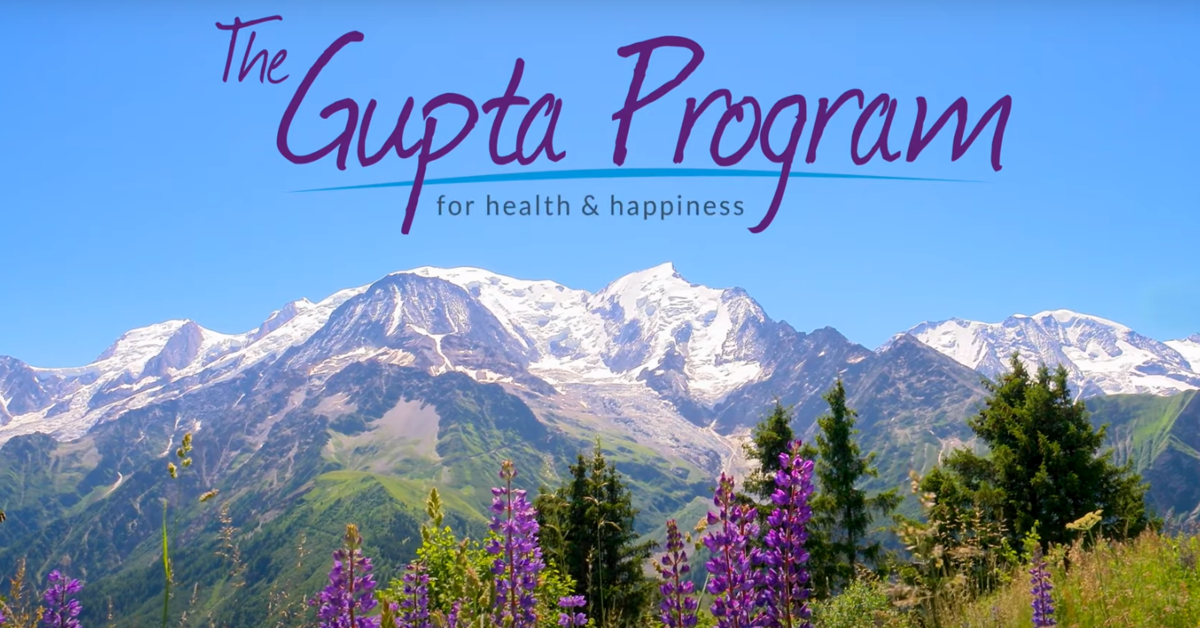 What-Is-The-Gupta-Program-1