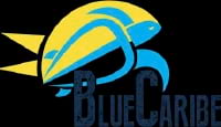 Blue Caribe Tours UK