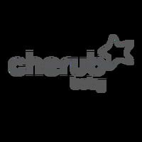 store-logo