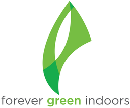 Forever Green Indoors