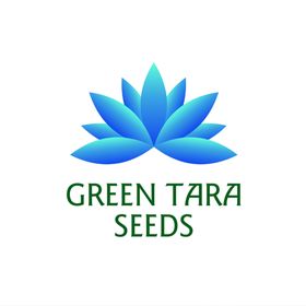 store-logo