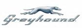 Greyhound