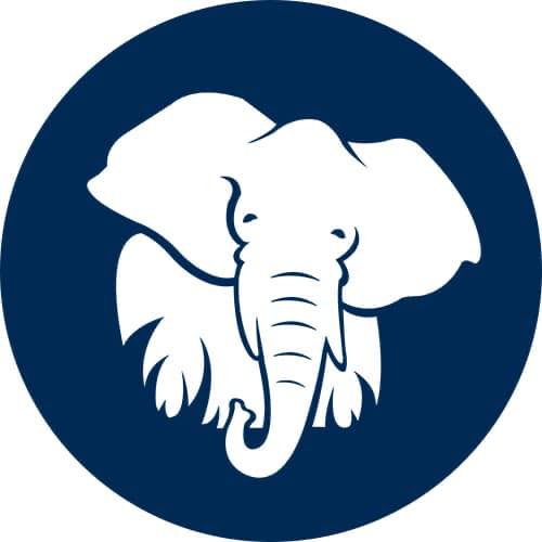 store-logo