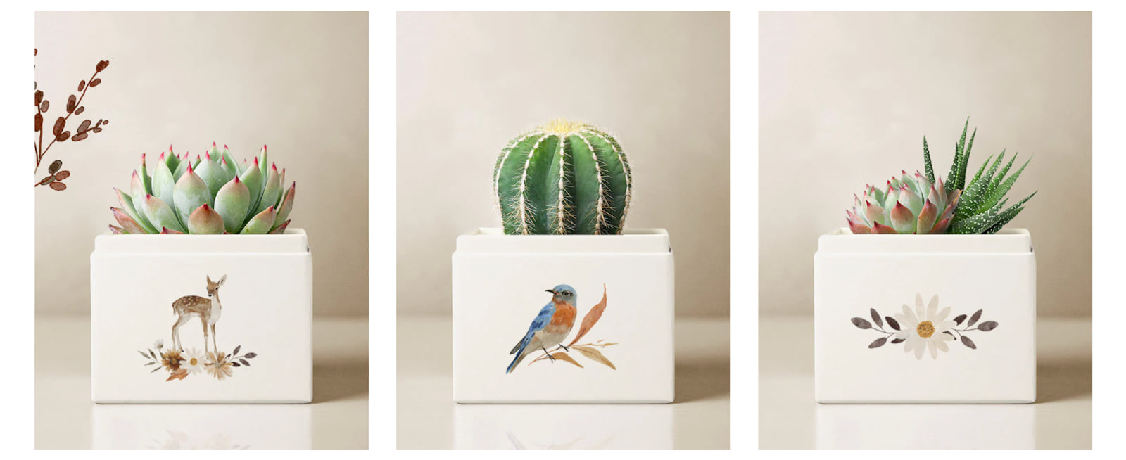 Lula's Garden plant selection